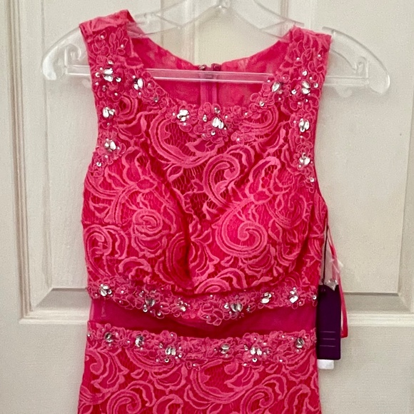 NWT Abby Paris Pink Lace Bodycon Dress (Semi-Formal) - Picture 1 of 7